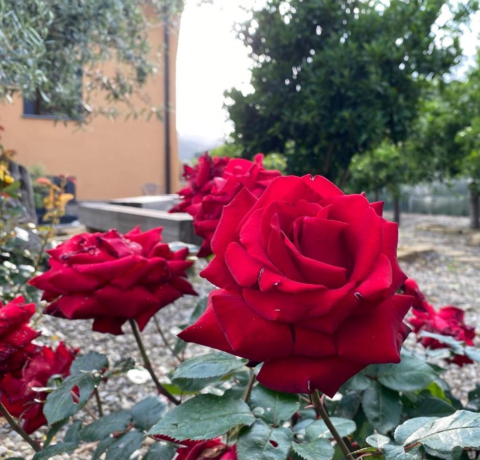 La Porta Delle Gole Hotell Motta Camastra Eksteriør bilde